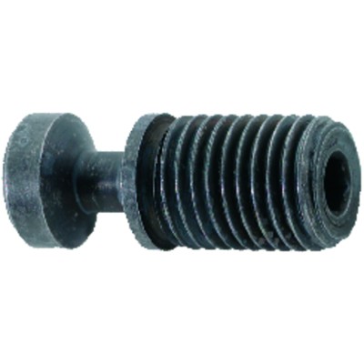Spannschraube S-C3
