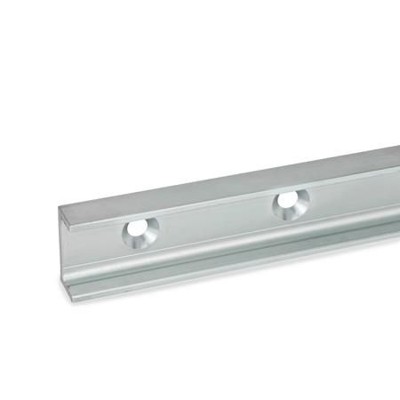 Ganter Norm® - 2422-43-560-40-UV Laufschienen