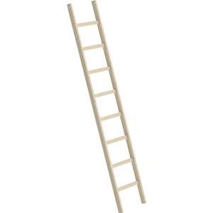Holz-Anlegeleiter, mit Sprossen, 8 Sprossen.