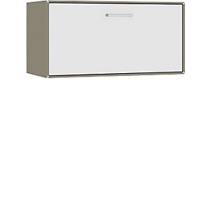 Einzelbox, hängend, 1 Barfachklappe, Breite 770 mm, beigegrau / reinweiß.